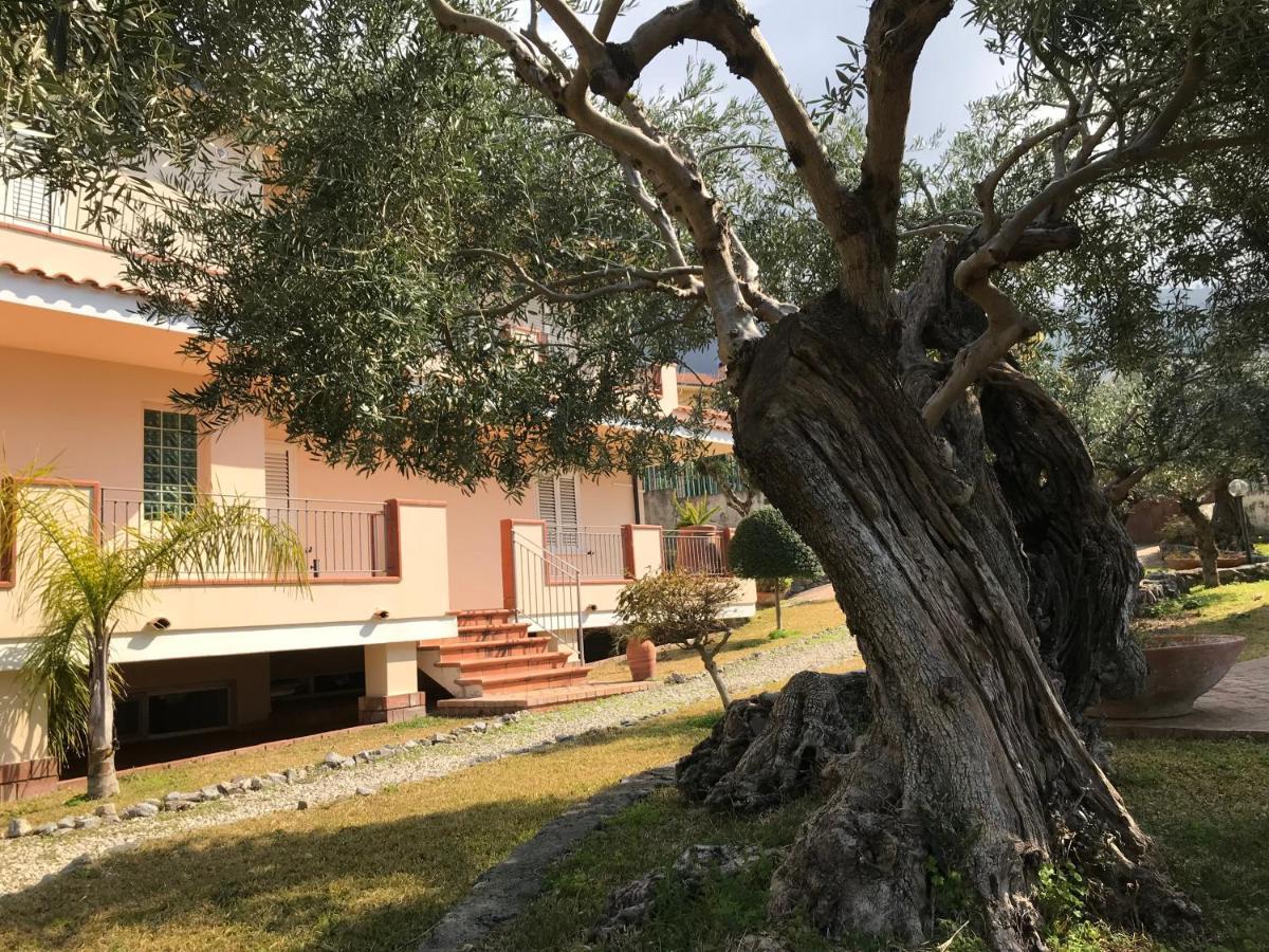 B&B Villa Degli Ulivi Прая а Маре Екстериор снимка